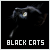  Black Cats: 