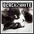  Black and White // Cats: 