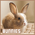  Bunnies: 